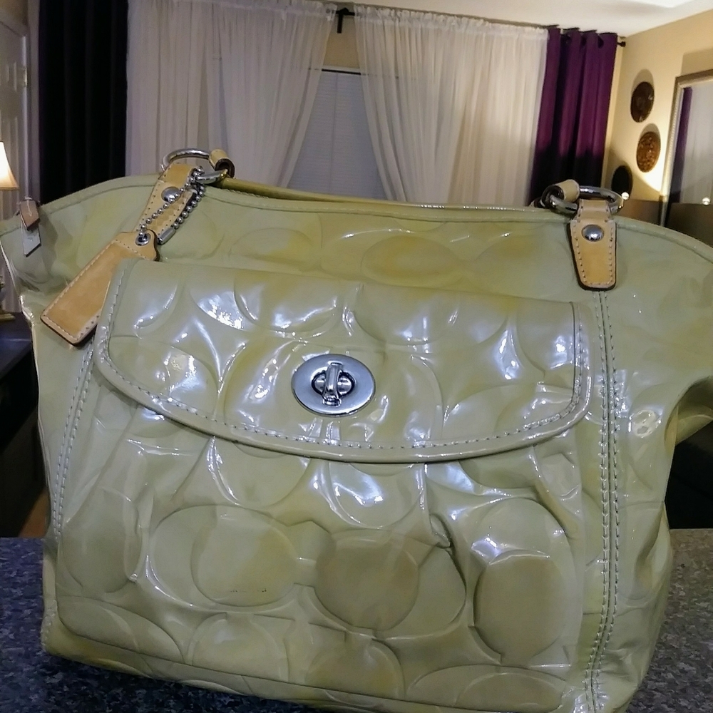 Authentic Signature COACH Bag